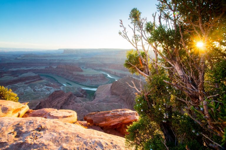 Embracing the Wild: Unleashing Your Inner Adventurer